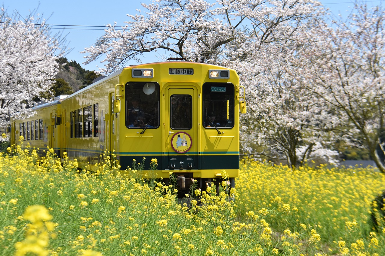 【神奈川】小田急 海老名中央公園 ファミリーファンフェスタ2024の魅力を徹底紹介！