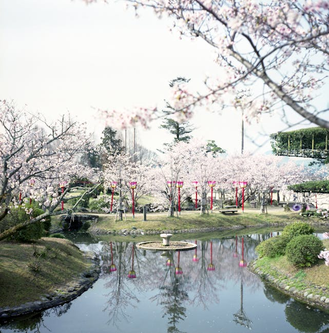 群馬県の桜名所10選：春の訪れを感じる絶景スポットガイド