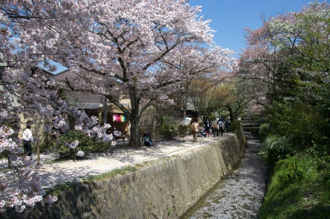 哲学の道