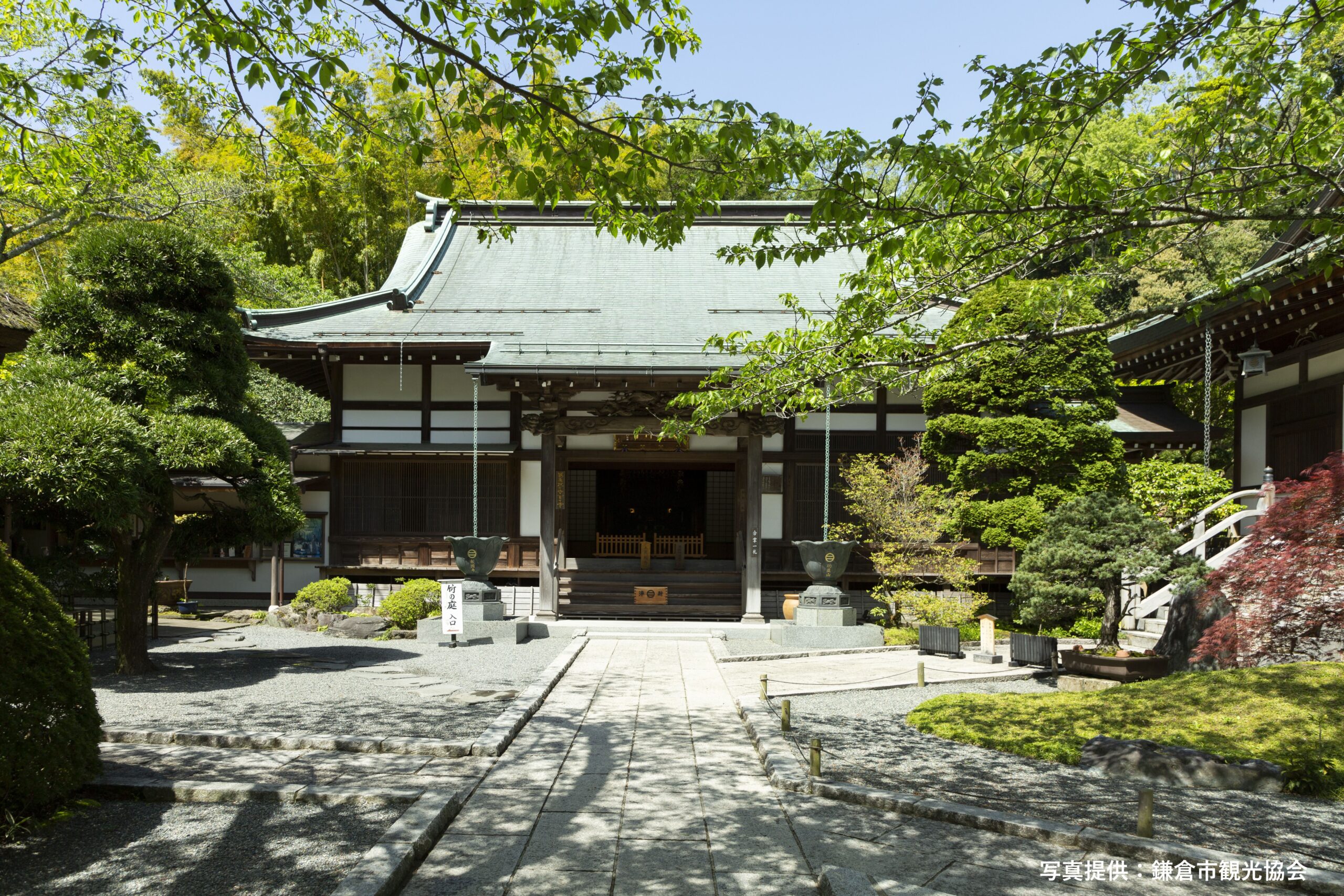 報国寺の竹林