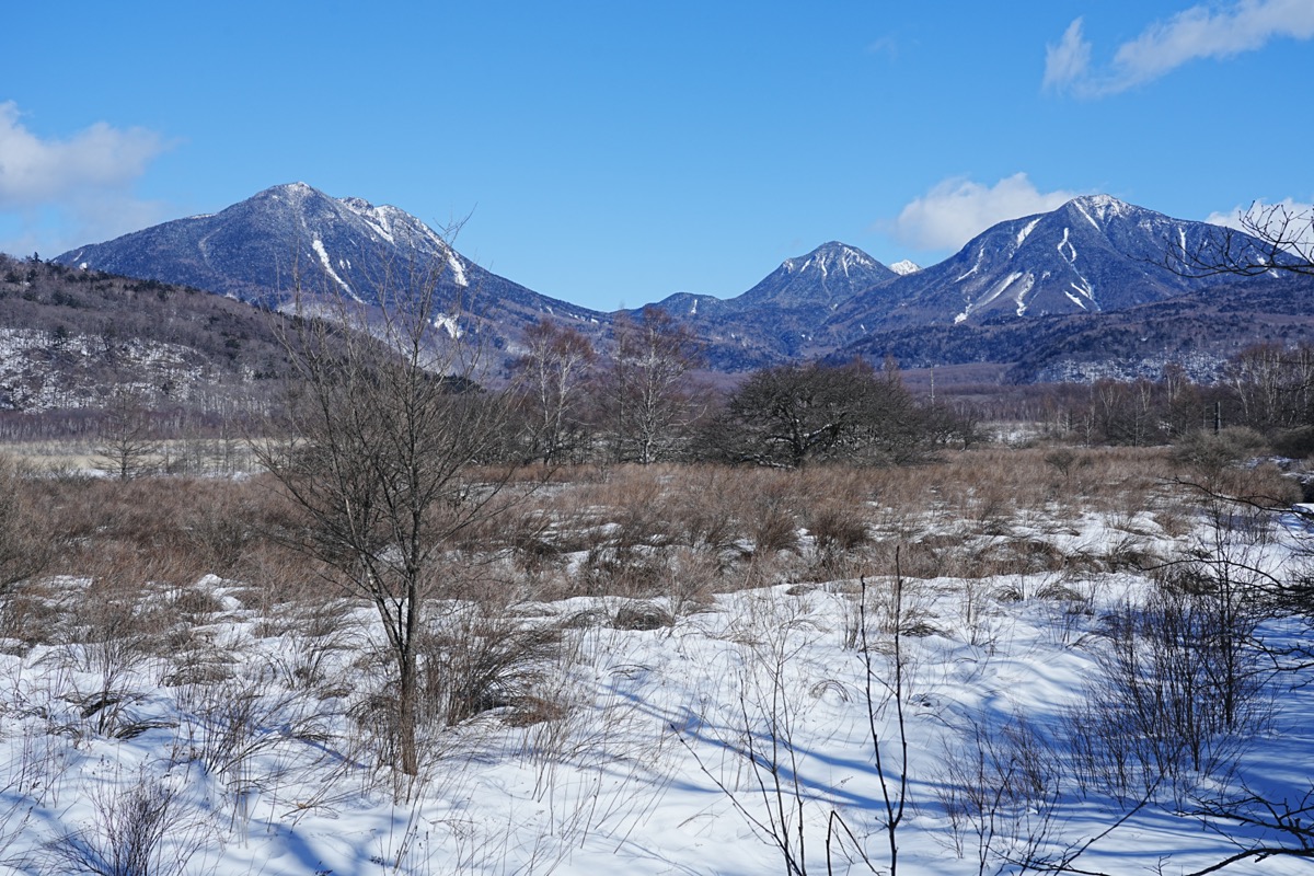 戦場ヶ原
