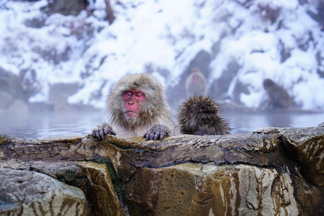 Onsen