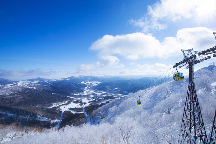 富良野・美瑛
