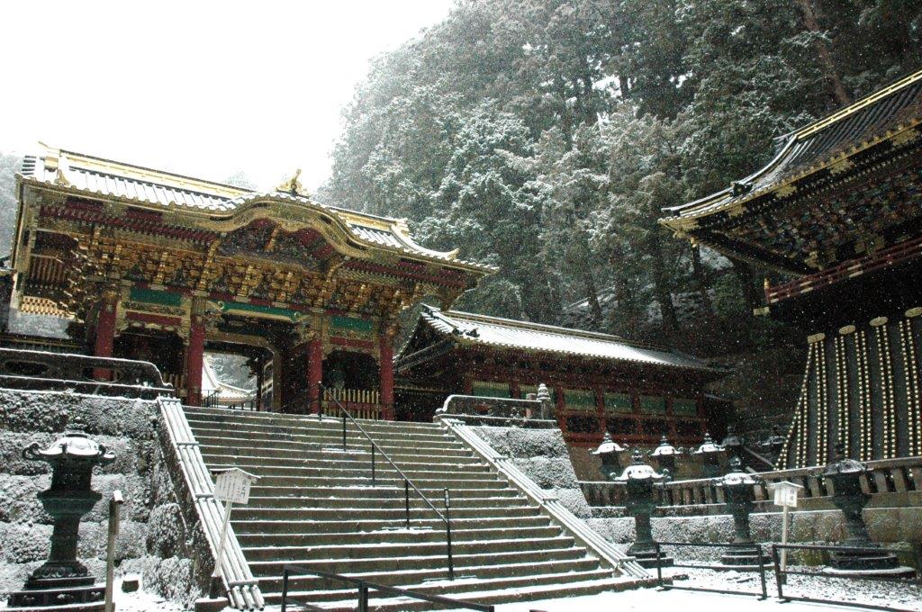 日光