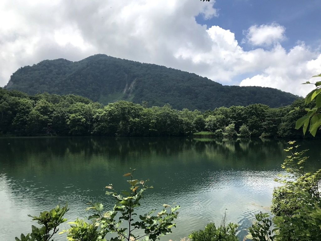 丸池
