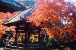 小松寺