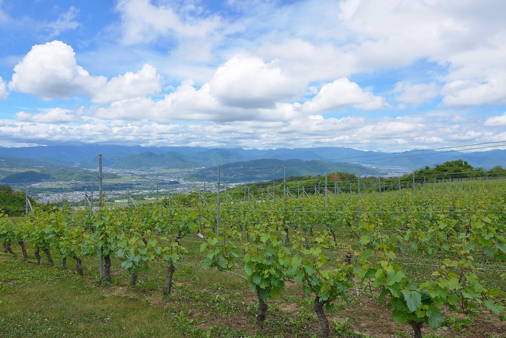 長野県東御市