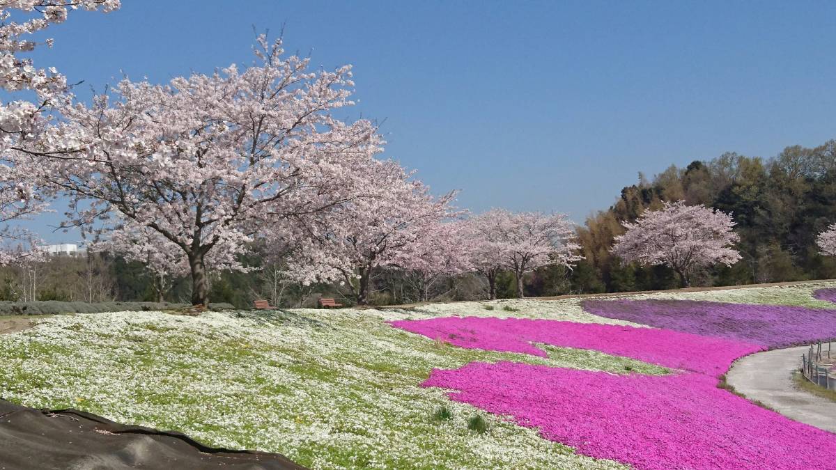 東京ドイツ村