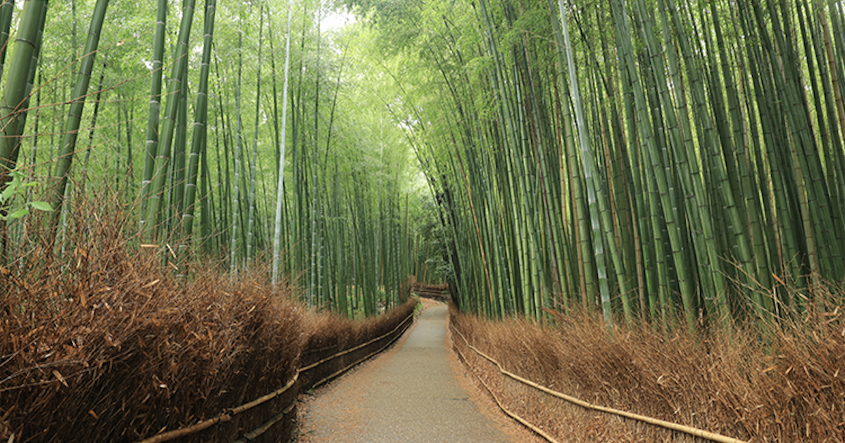 嵐山・嵯峨野