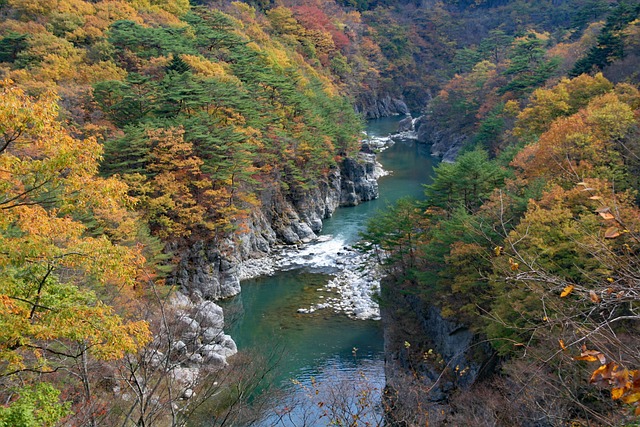 Tochigi
