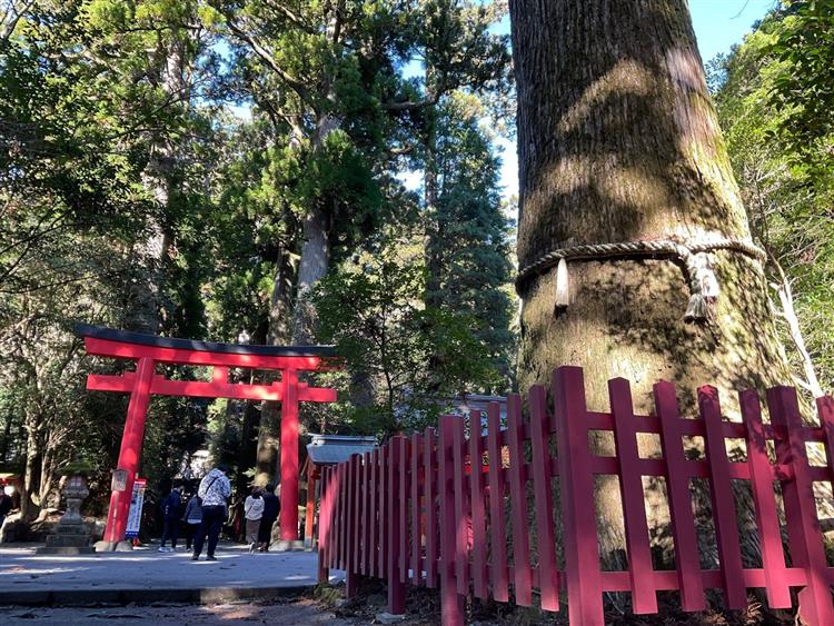 平和の鳥居