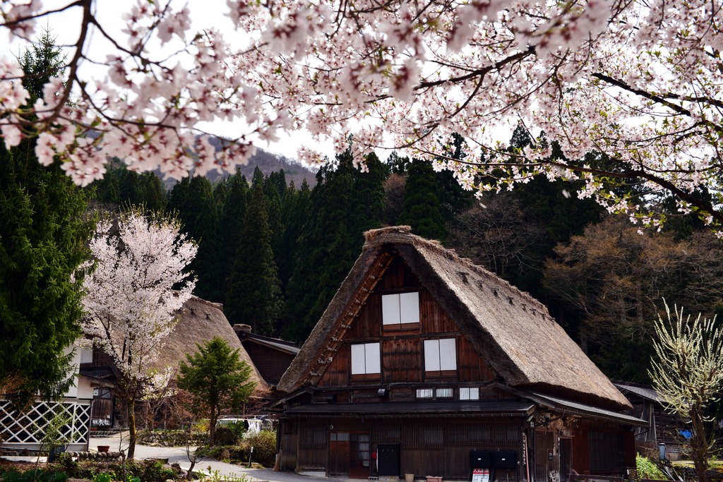 白川郷