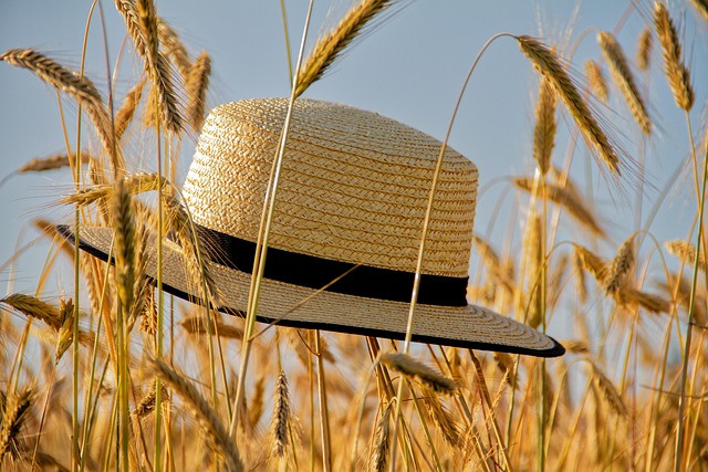 Summer