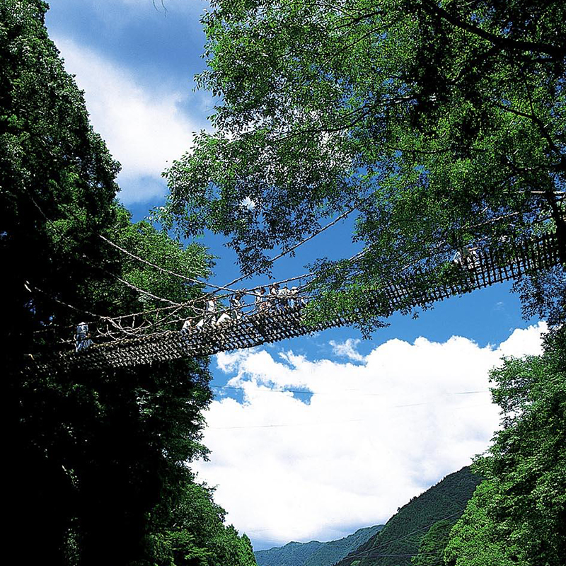 祖谷のかずら橋