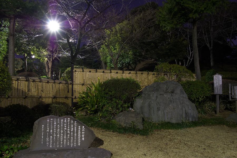 野毛山公園