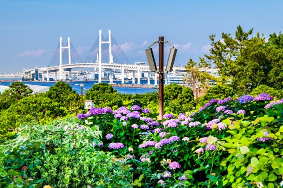 港の見える丘公園