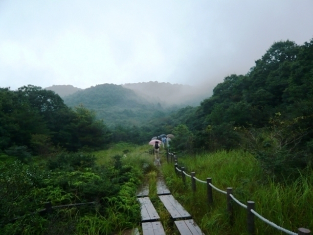 葦毛湿原