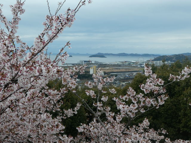 御津山展望台