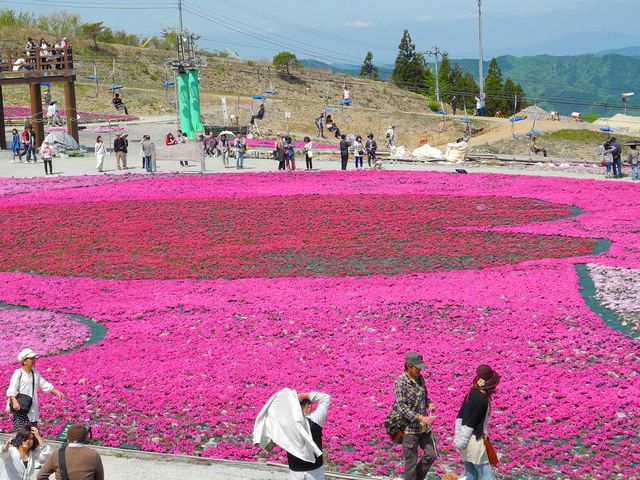 茶臼山高原