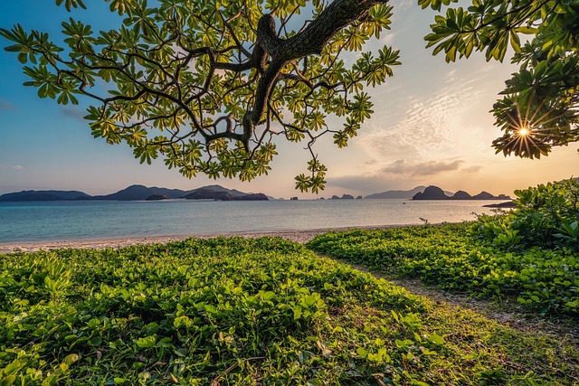 Okinawa