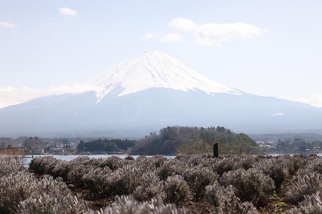 Yamanashi