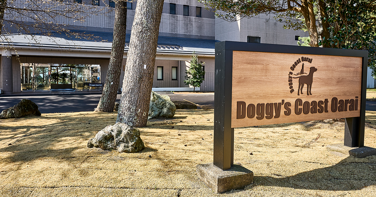 Doggy's Coast Oarai