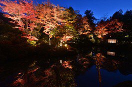 二荒山神社