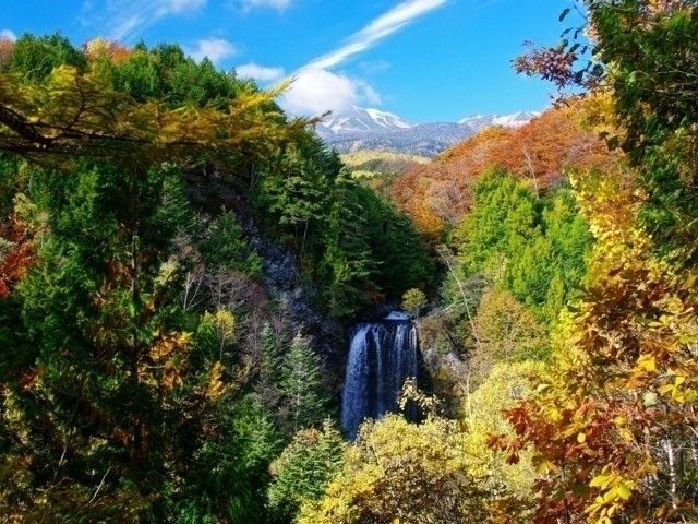 乗鞍高原