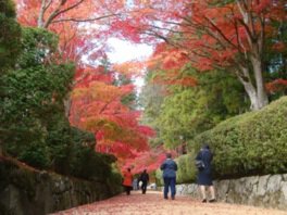 高野山