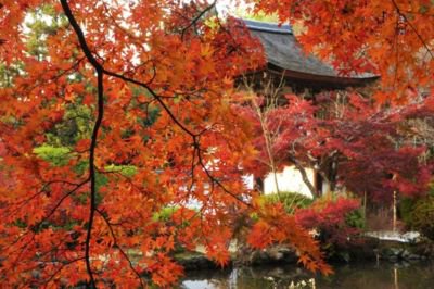 長岳寺