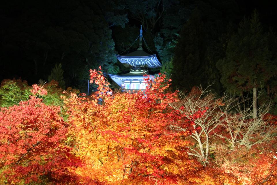 永観堂禅林寺