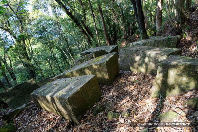 尾鷲の石丁場