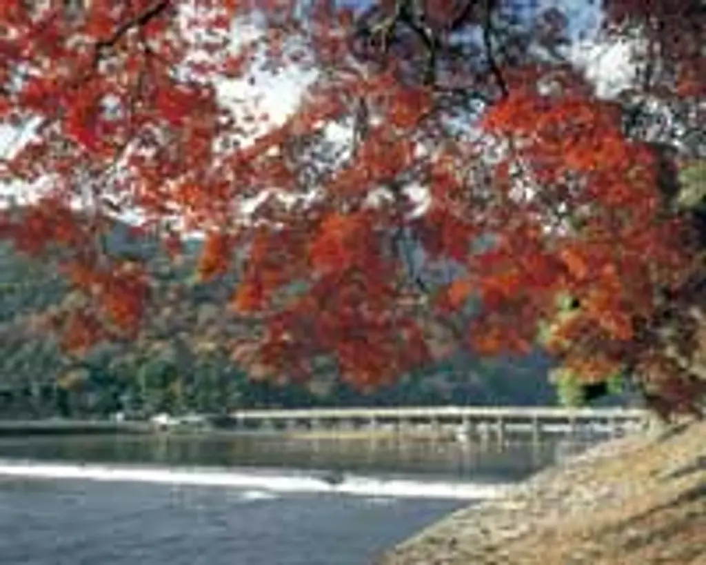 嵐山