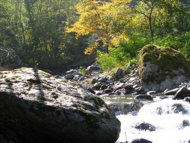 扉温泉