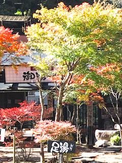 杖立温泉