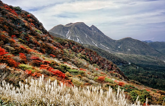 Kumamoto autumn leaves