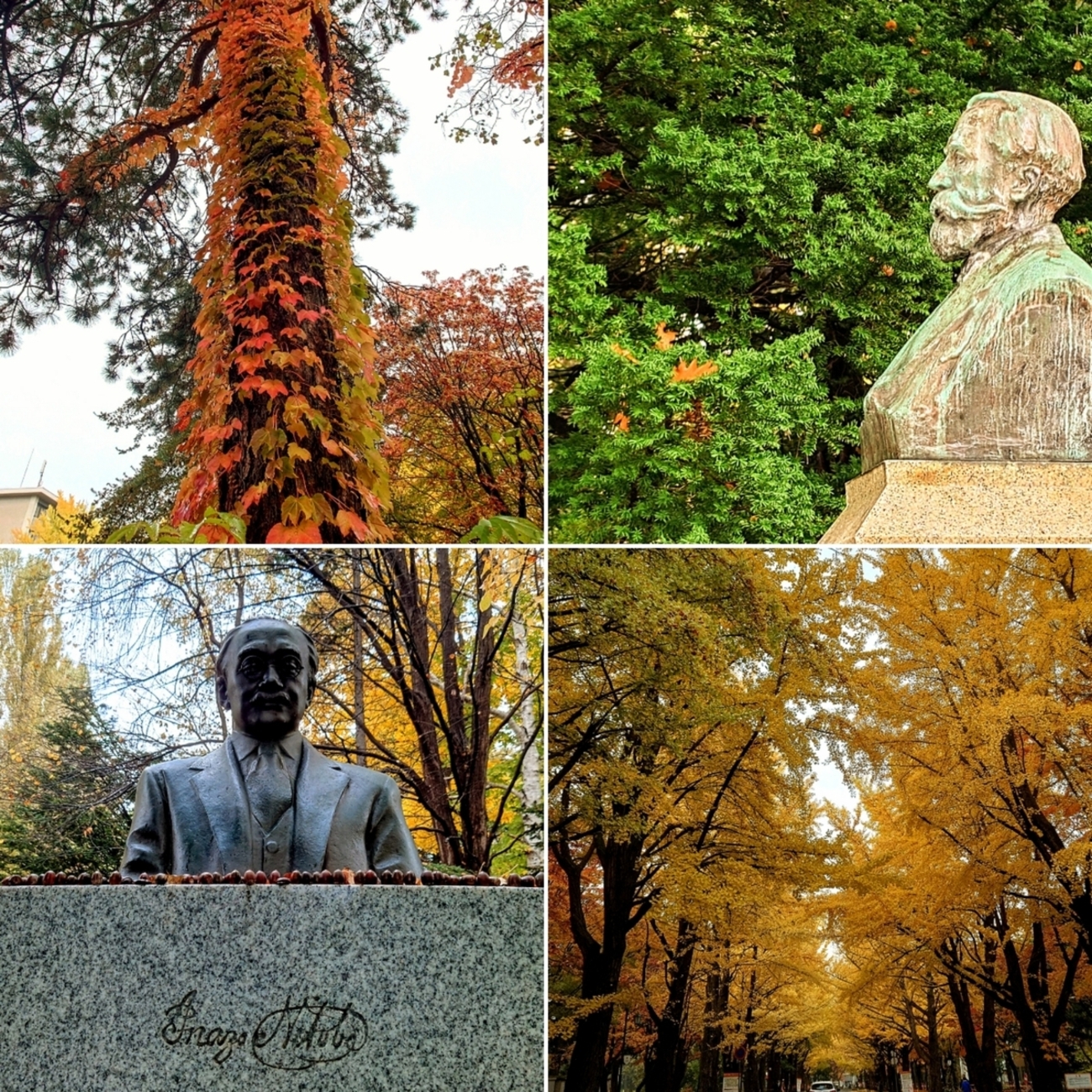 北海道大学