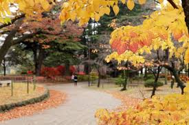 あがたの森公園