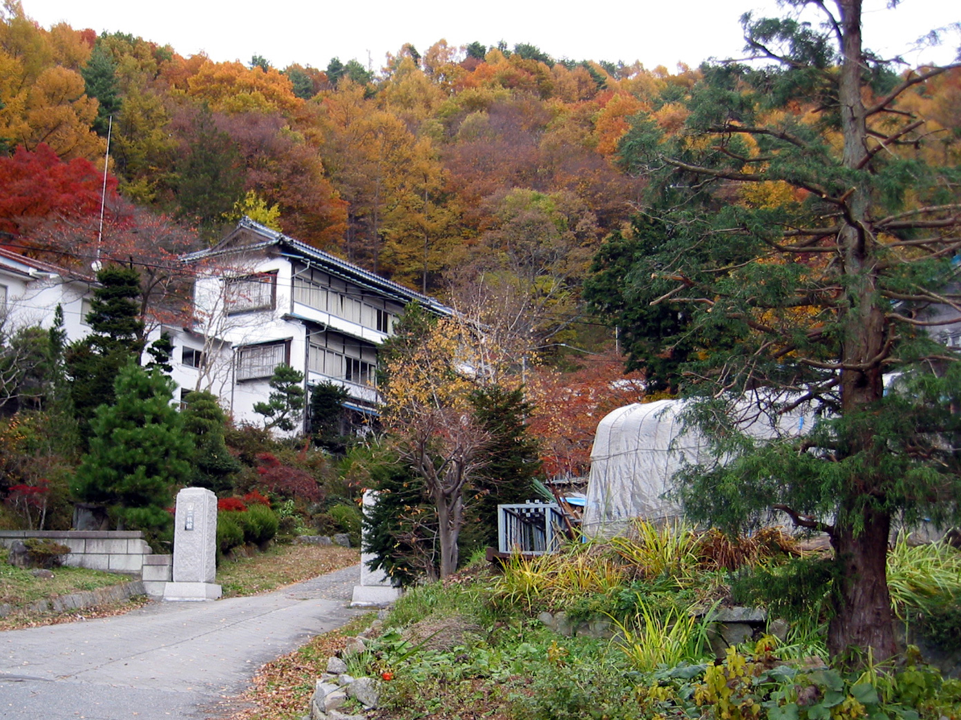 崖の湯