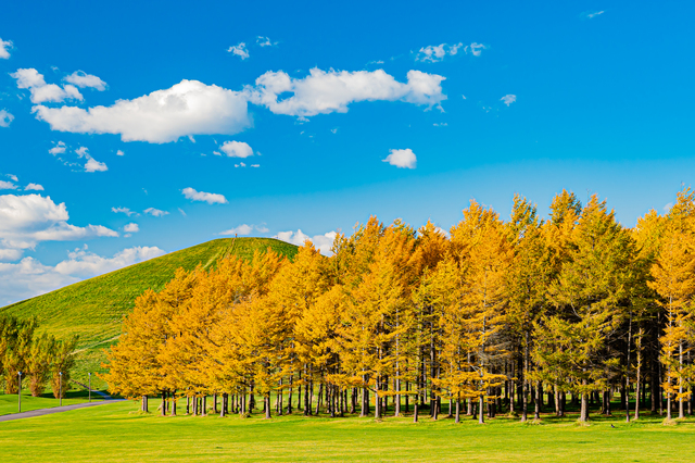 藻岩山