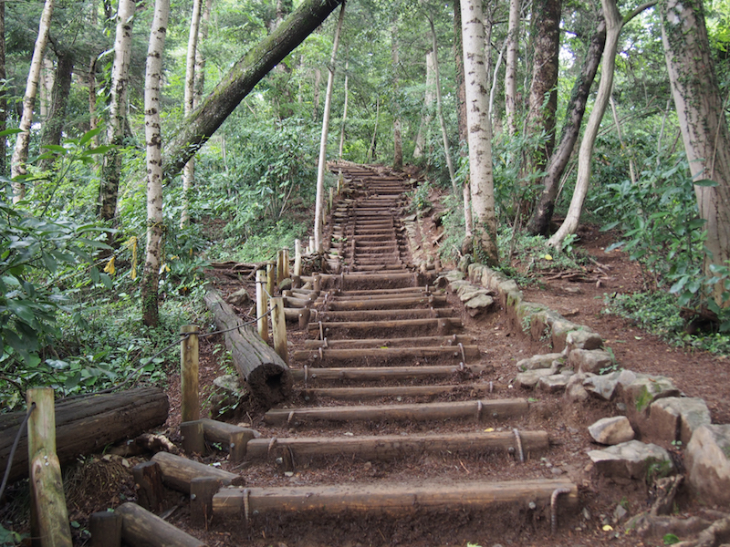 6号路