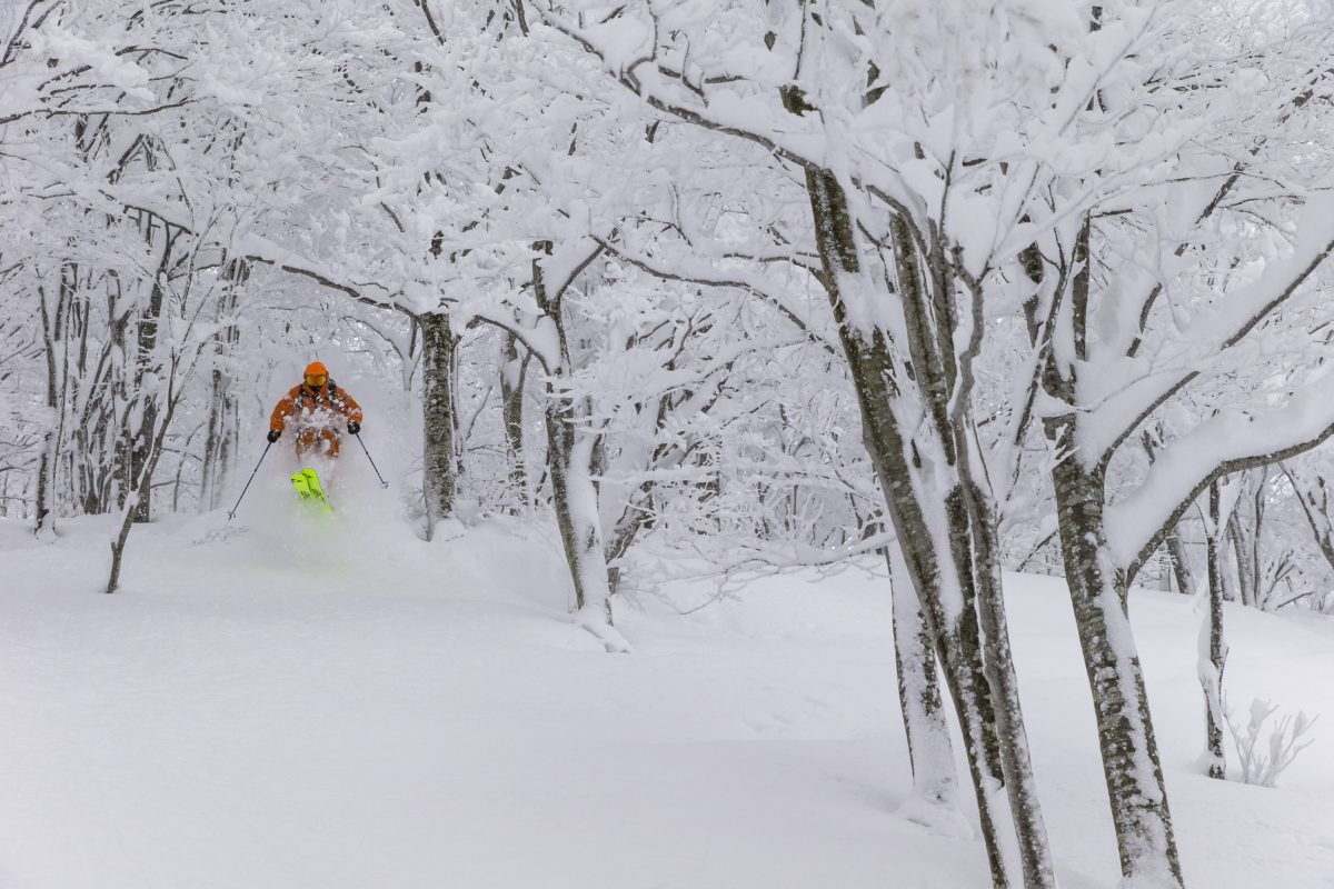 六日町八海山スキー場