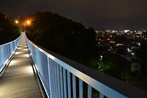八幡山公園アドベンチャーブリッジ