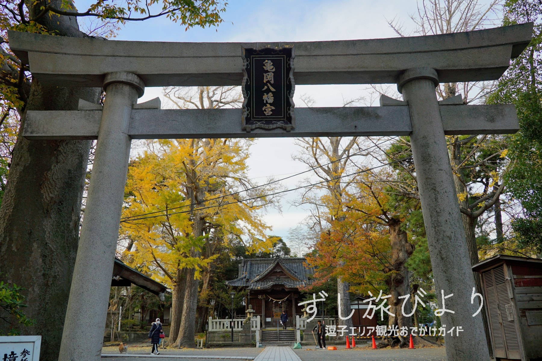 亀岡八幡宮