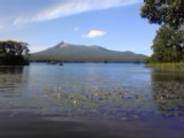 大沼公園