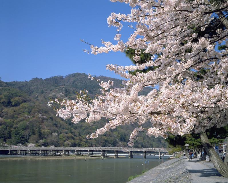 渡月橋