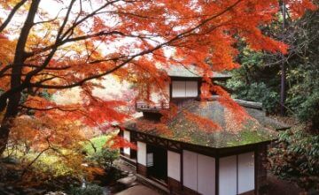 三渓園