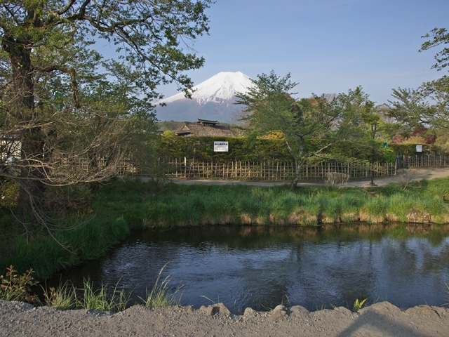 富士五湖