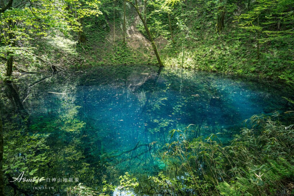 青池