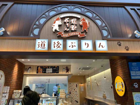 道後ぷりん